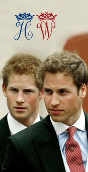 Les princes William et Harry